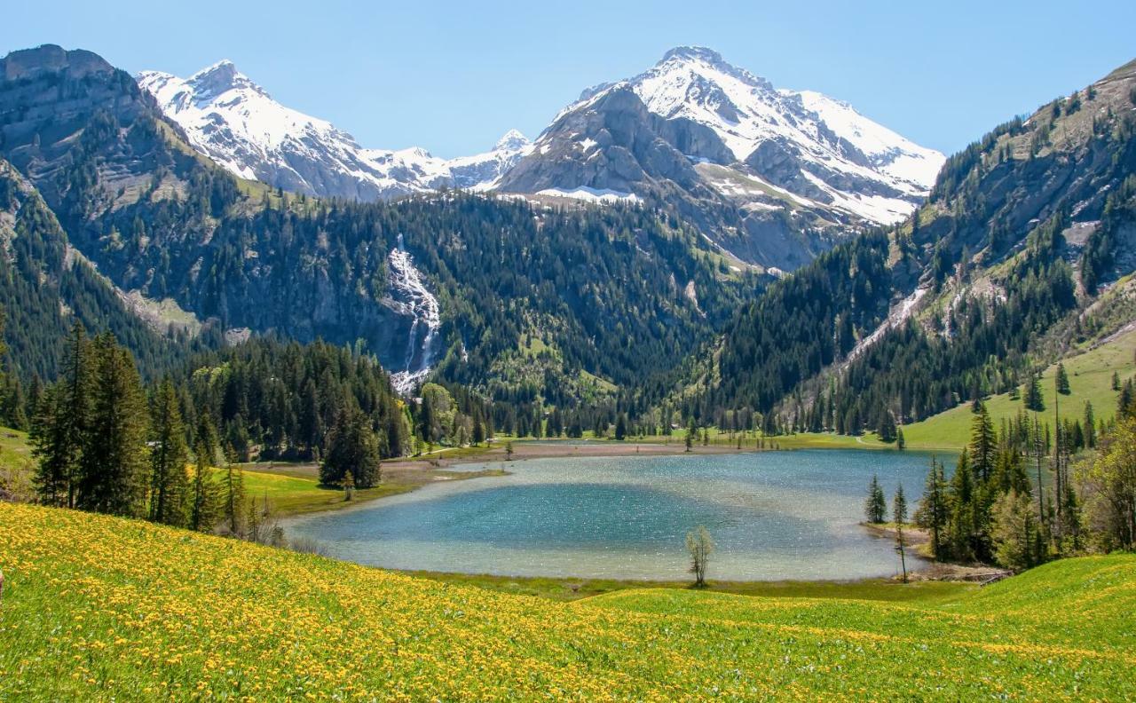 Hotel Alpenland Gstaad Kültér fotó